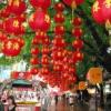 quietcougar