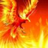 Phoenixrise