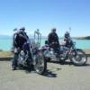 gokiwi68