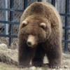AlaskaBeauty