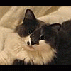 princess_sophie