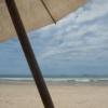 carioca