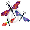 FLdragonfly