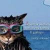 catsrule =^..^=