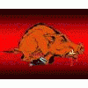 TX_Hogwild