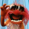 GoochMonster