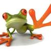 Frogfeet