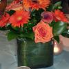 rhoste