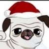 steffie4you