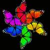 butterfly23