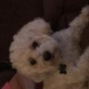 oscarlover