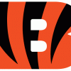bengaldude