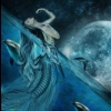 ThinDolphin3
