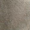 Jessee3897