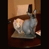 sphynxmomma