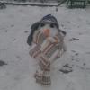 turtletoo
