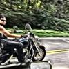The Sabretooth