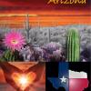 Arizona❤️Texas