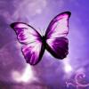 reinventingme63