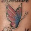 Cocoon2Butterfly
