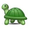 turtle5569