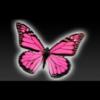 PinkAsh!