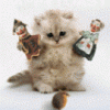 bandster_baby