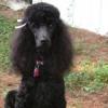 Mimilou2004