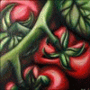 tomatogirl