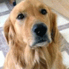GraciesMom